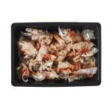 Shrimp Shells